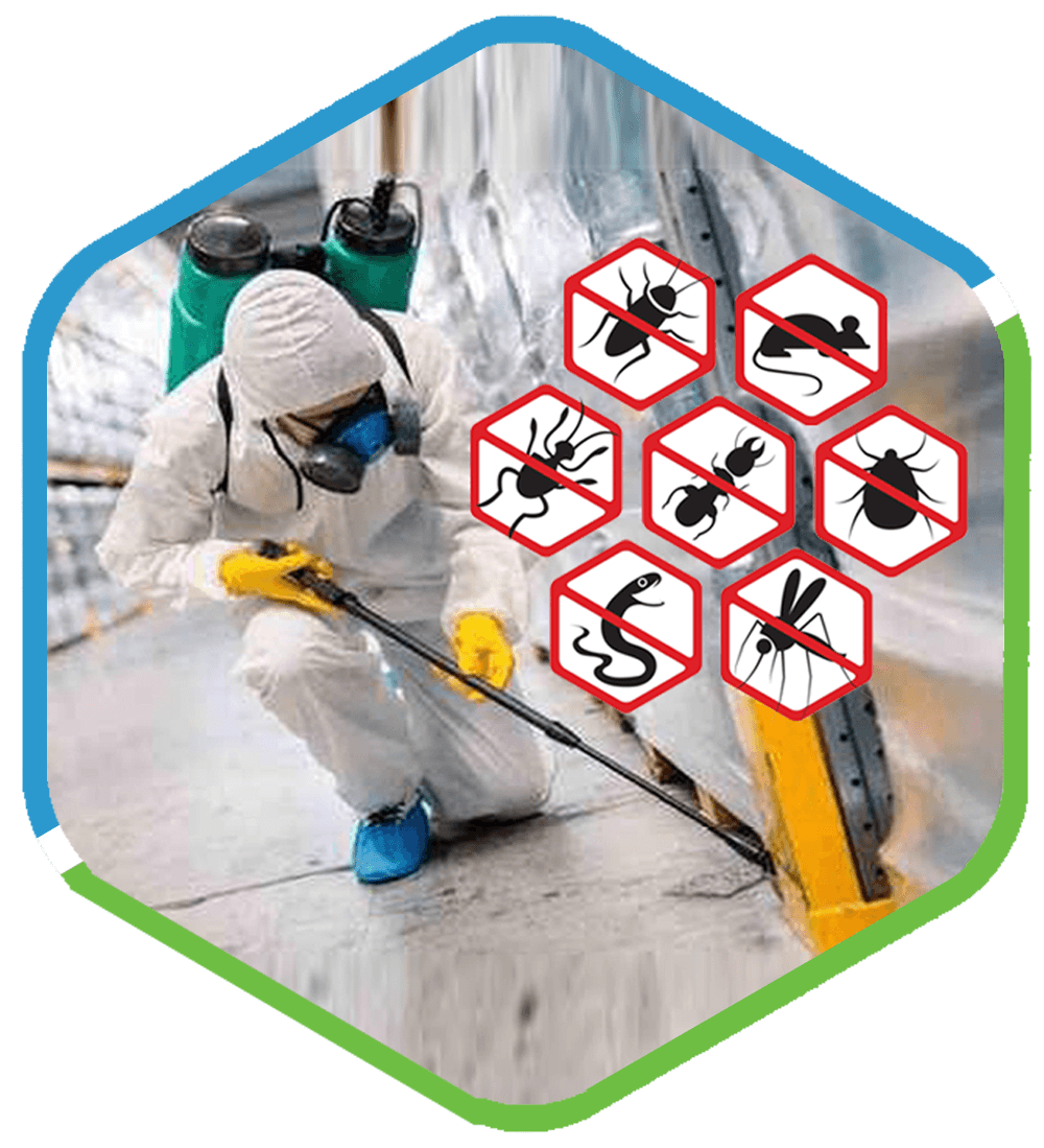 Best Pest Control Services in Dubai